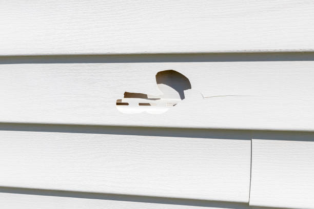 Best Same-Day Junk Removal Services  in Jarrell, TX